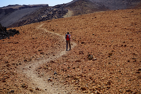 man walking on brown field thumbnail