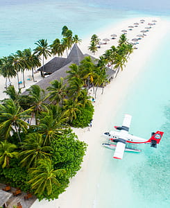 white airplane flying above body of water near coconut trees thumbnail