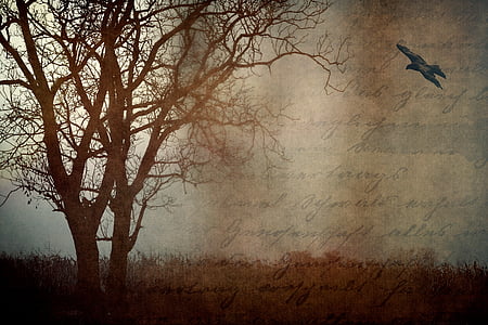 baretree artwork thumbnail