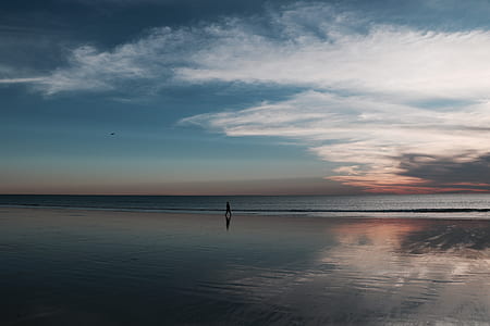 person walking on shore under blue sky during daytime thumbnail