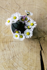 white and purple flowers thumbnail
