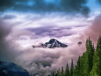 mountain surrounded by white clouds near pine trees thumbnail