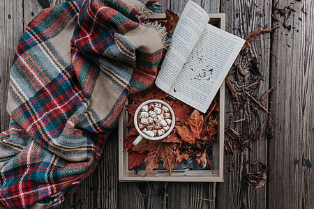 flatlay photography of teacup and book thumbnail