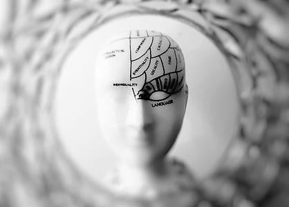Photo of Head Bust Print Artwork thumbnail