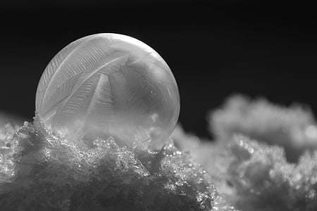 close-up photo of white bubble thumbnail
