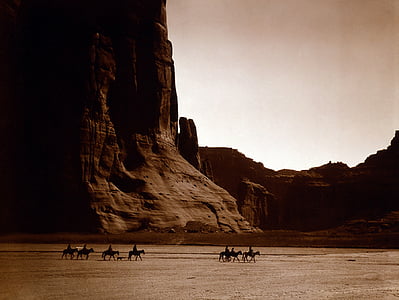 people riding on horse beside natural forkmation thumbnail