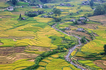 aerial photography of rice terraces thumbnail