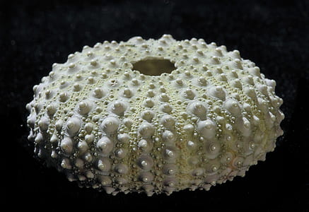 round beige container thumbnail