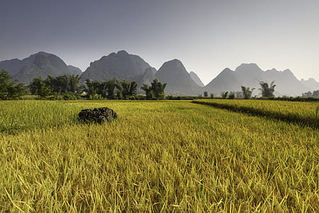 grasses and mountains under white sky thumbnail
