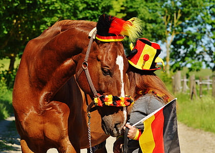 brown horse standing near tree thumbnail