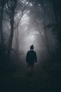 man walking in woods thumbnail