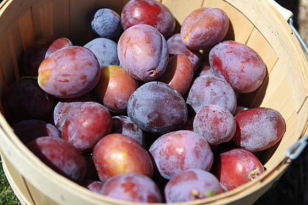 basket of peach thumbnail