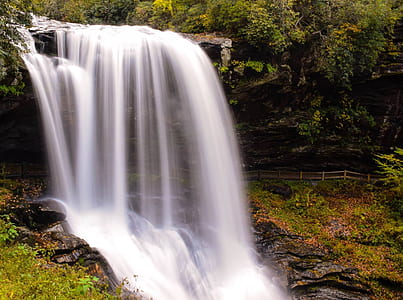 waterfalls surrounded by green trees thumbnail