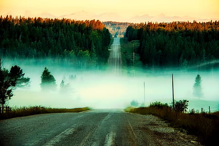 black asphalt road with white fog thumbnail