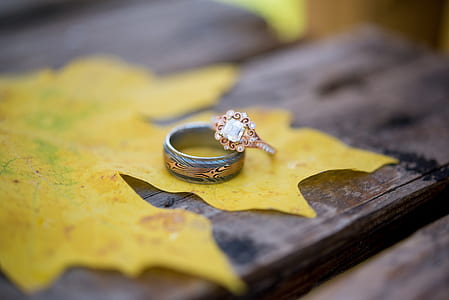 silver-colored band ring on yellow leaf thumbnail