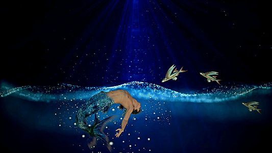 mermaid in body of water near flying fish painting thumbnail