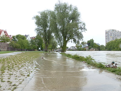 two green trees thumbnail