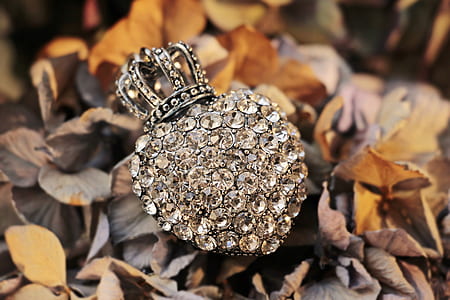heart-shaped silver-colored clear gemstones encrusted ring on dried leaves thumbnail