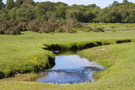 river flowing between grass-covered fields at daytime photo thumbnail