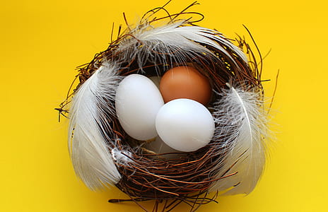white and brown eggs on nest thumbnail