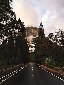 road between trees thumbnail