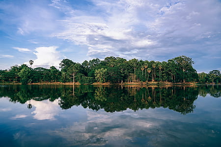 body of water near forest thumbnail