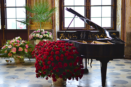 red chrysanthemum flowers beside grand piano thumbnail