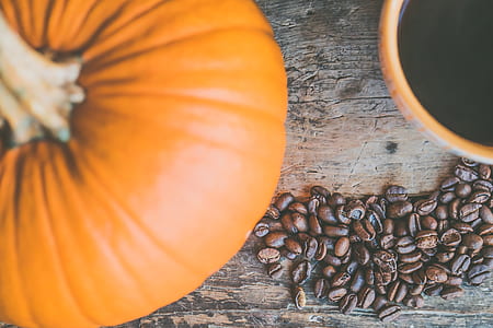 Orange Pumpkin and Coffee Beans thumbnail