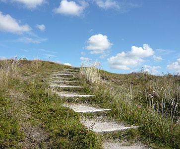 white concrete pathway stairway between green grasses during daytime thumbnail