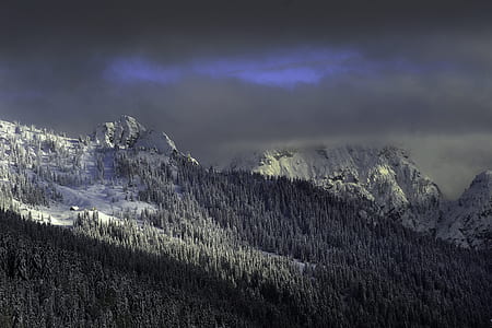 landscape photography of mountain alps thumbnail