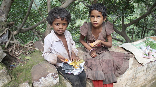two kid sitting on gray rock beside green and black trees at daytime thumbnail