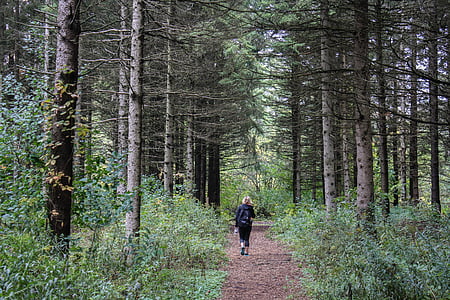 blonde haired girl walking on forest pathway thumbnail