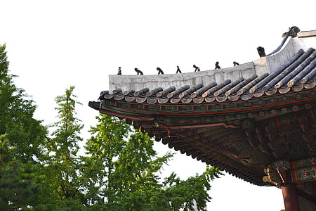 brown and gray temple beside tree at daytime thumbnail