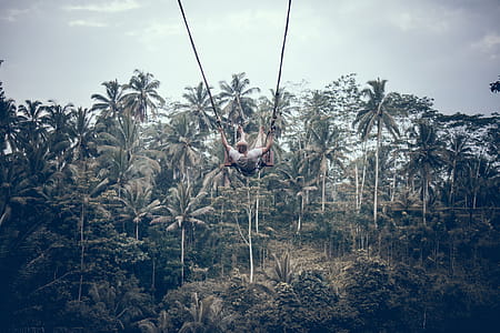 Person Wearing White Shirt Riding Gray Swing Background of Trees thumbnail