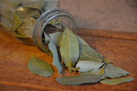 closeup photo of green ovate leaves from clear glass jar thumbnail