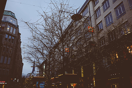 Christmas Illumination on a street thumbnail