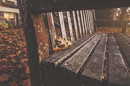 wood, bench, park, autumn thumbnail