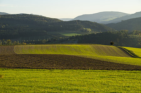 green grassfield during daytime thumbnail