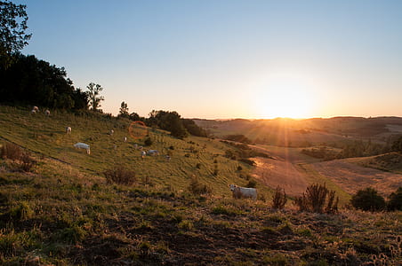 dawn, sunset, sunrise, hill thumbnail