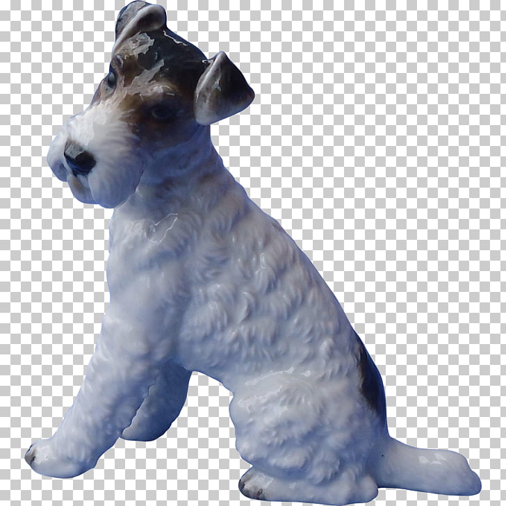 Miniature Schnauzer Wire Hair Fox Terrier Lakeland Terrier Dog