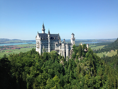 aerial photography of gray and white stone castle in the middle of a forest during day thumbnail