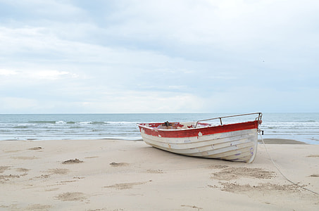 white jon boat near seashore thumbnail
