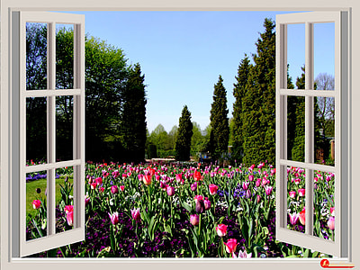 white wooden framed glass window thumbnail