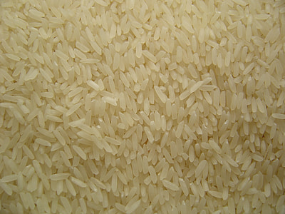 rice grains thumbnail