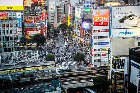 Tokyo City thumbnail