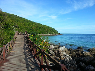 brown wooden pathway near body of water photo thumbnail