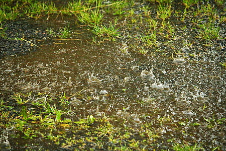 green grass thumbnail
