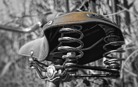 bike saddle near leafless trees thumbnail