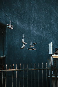 four pairs of assorted-color shoes hanging on coated wire thumbnail