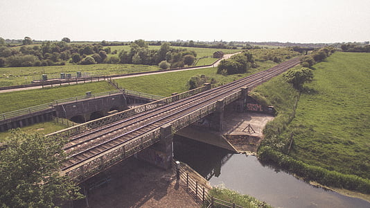 gray bridge surrounded by tall tress thumbnail